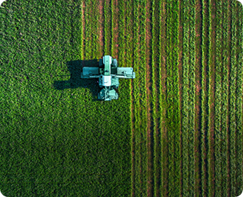 Agriculture